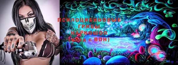 молекула духа Белоозёрский