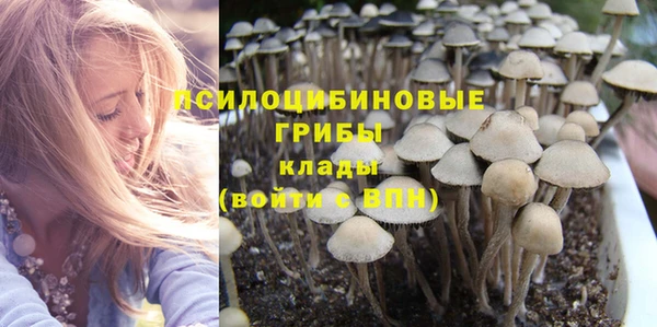 Альфа ПВП Беломорск