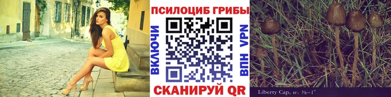 Псилоцибиновые грибы GOLDEN TEACHER  купить наркотик  Котельниково 